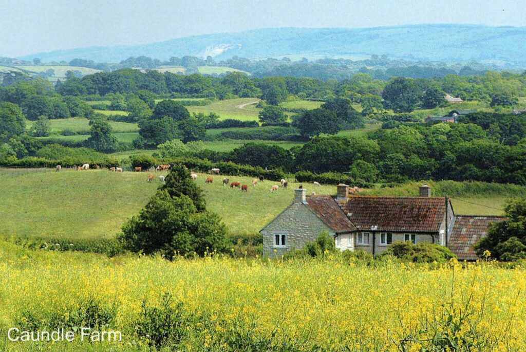April 2014 - Caundle Farm in the Spring