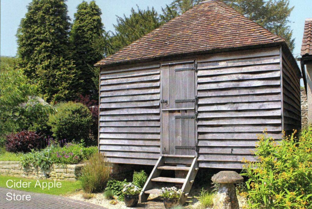 June 2014 - Cider Apple Store at Stourton Caundle