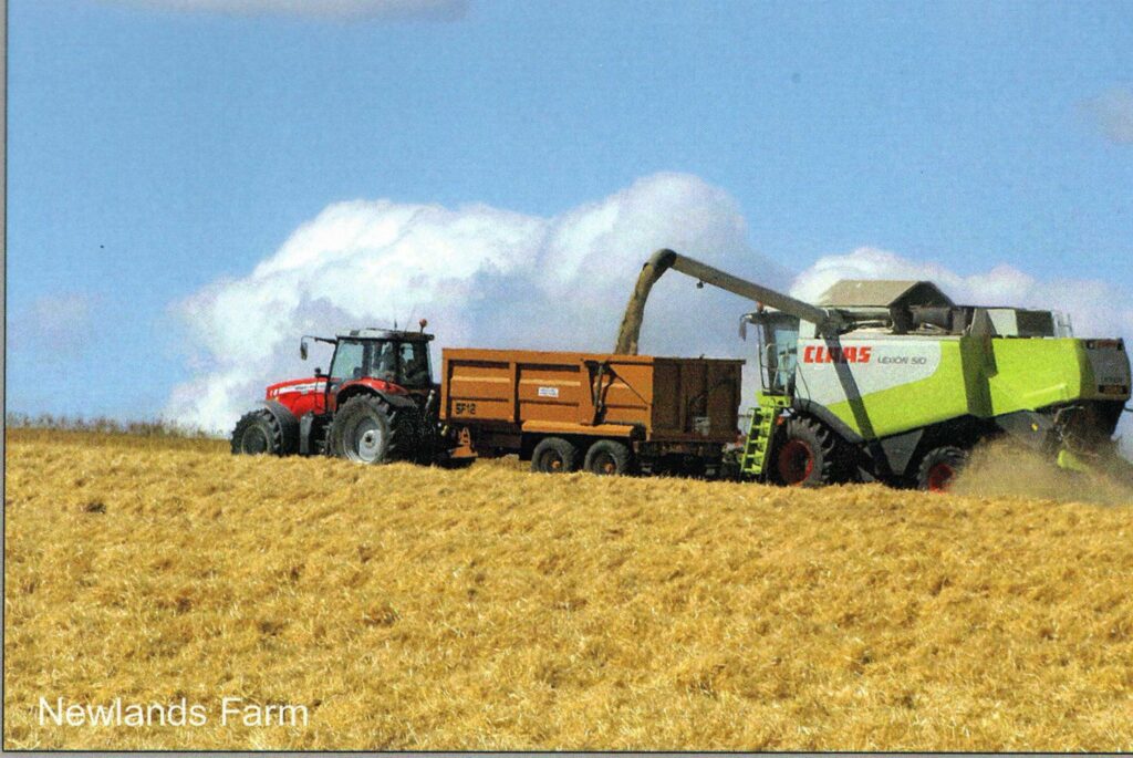 September 2014 - Newlands Farm in the fields